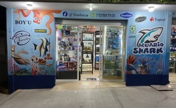 Shark Acuario