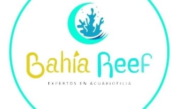 Bahia Reef