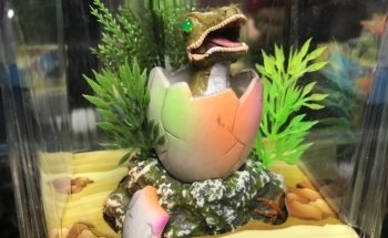 Acuario Aventura Acuatica