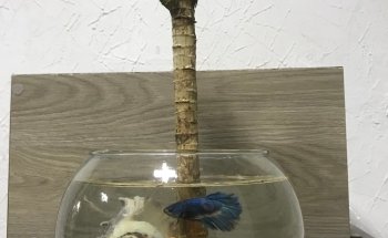 Acuario Aventura Acuatica