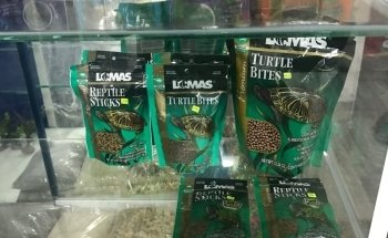 Acuario Aventura Acuatica