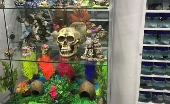 Acuario Aventura Acuatica