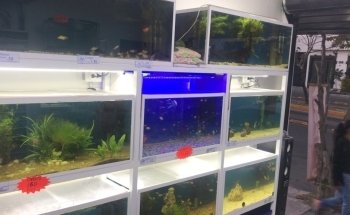 Acuario Aventura Acuatica