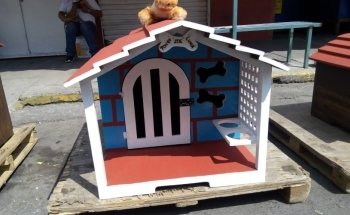 Tropical fishes and Pet store.