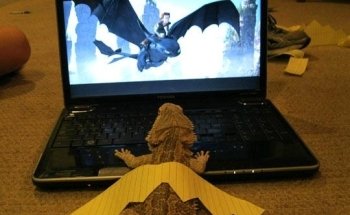 Tropical fishes and Pet store.