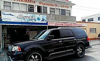 Tropical Fishes and Pet Store