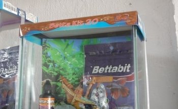 Acuario Alex 2 ,guppys de calidad