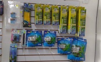 Acuario Alex 2 ,guppys de calidad