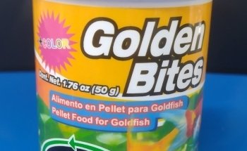 Acuario Alex 2 ,guppys de calidad