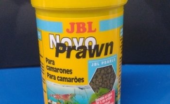 Acuario Alex 2 ,guppys de calidad