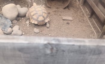 Blue World Aquarium Tapachula