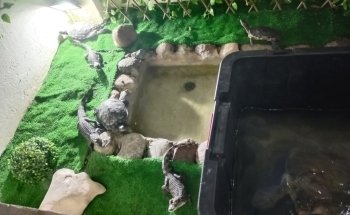 Blue World Aquarium Tapachula