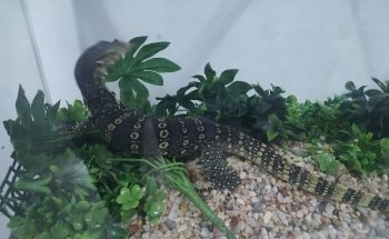 Blue World Aquarium Tapachula