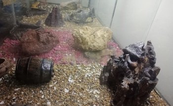 Blue World Aquarium Tapachula