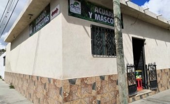 Sams Acuario y Mascotas Sucursal