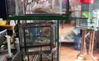 Sams Acuario y Mascotas Sucursal