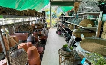 As Green As Garden Centre & Pet Shop