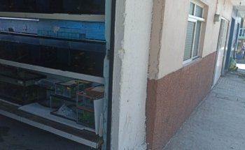 Acuario Aleta Felíz