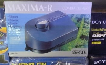 Acuario Aleta Felíz