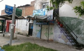 GUPPYLANDIA Aquarium