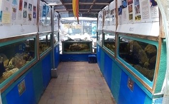 Aquasearch Aquarium
