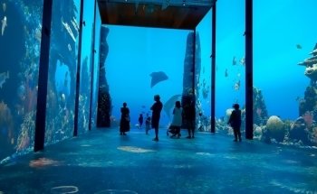 Musée océanographique de Monaco