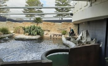 National Aquarium of New Zealand