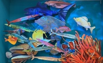 National Aquarium of New Zealand