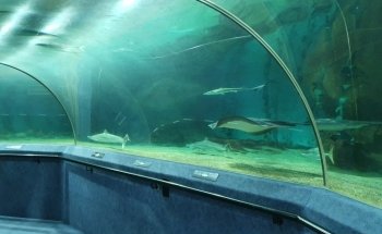 National Aquarium of New Zealand