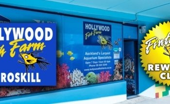 Hollywood Fish Farm Mt Roskill