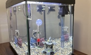 Hollywood Fish Farm Mt Roskill