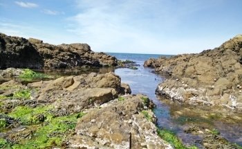 Island Bay Marine Education Centre-Bait House Aquarium