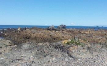 Island Bay Marine Education Centre-Bait House Aquarium