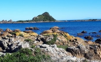 Island Bay Marine Education Centre-Bait House Aquarium