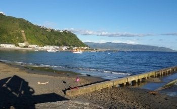 Island Bay Marine Education Centre-Bait House Aquarium