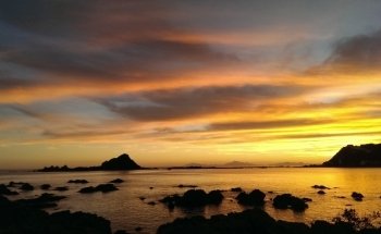Island Bay Marine Education Centre-Bait House Aquarium