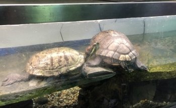 Island Bay Marine Education Centre-Bait House Aquarium