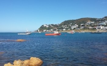 Island Bay Marine Education Centre-Bait House Aquarium