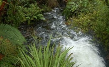 Tongariro National Trout Centre