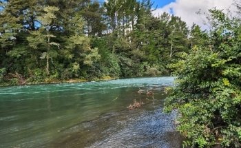 Tongariro National Trout Centre