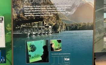 Milford Sound Underwater Observatory - Southern Discoveries
