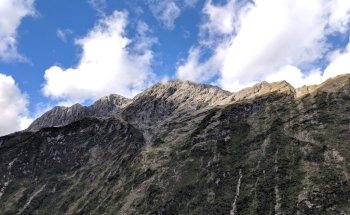 Milford Sound Underwater Observatory - Southern Discoveries