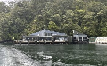 Milford Sound Underwater Observatory - Southern Discoveries
