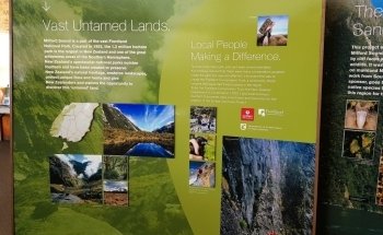 Milford Sound Underwater Observatory - Southern Discoveries