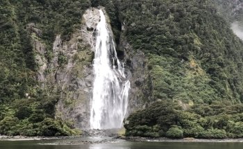 Milford Sound Underwater Observatory - Southern Discoveries