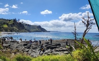Goat Island Marine Discovery Centre