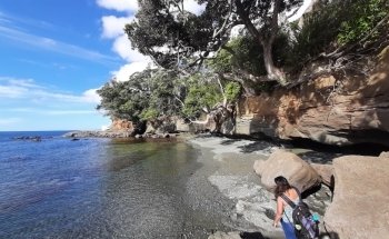 Goat Island Marine Discovery Centre