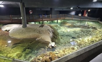 Atlantic Sea-Park