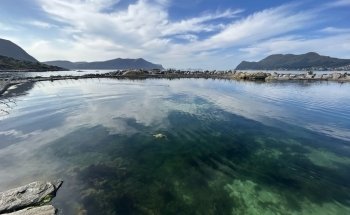 Atlantic Sea-Park