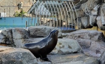 Akvariet i Bergen - The National Aquarium